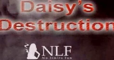 daisy destructiom|daisys destruction real video.